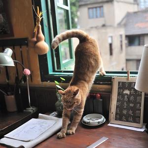 口述奶头很大被领导吃
